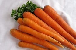Dog treat Carrots