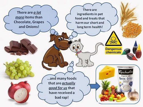 Poison food hotsell for dogs