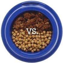 Canned Versus Dry Dog Food