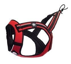 dog harness