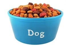 Dry Dog Food