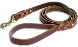 leather leash