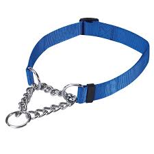 martingale collar