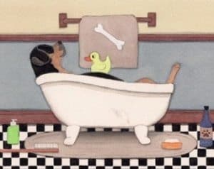 rottweiler in a bathtub