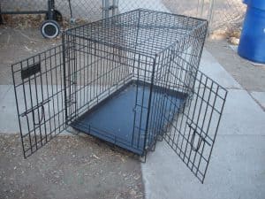 Rottweiler hotsell crate training